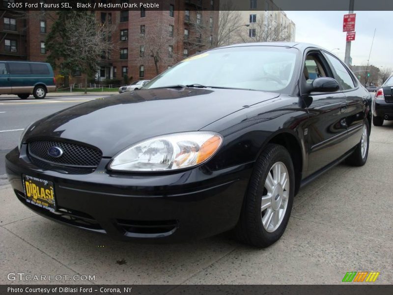 Black / Medium/Dark Pebble 2005 Ford Taurus SEL