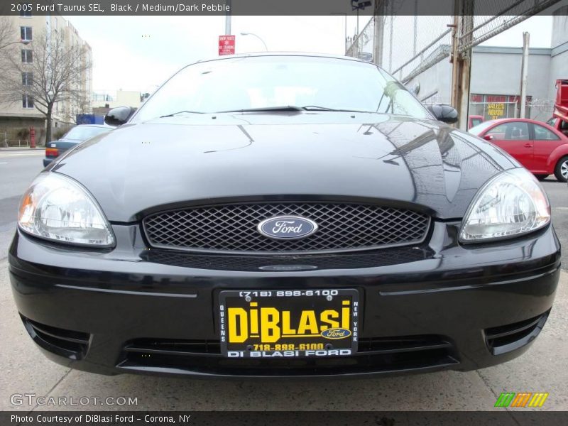 Black / Medium/Dark Pebble 2005 Ford Taurus SEL