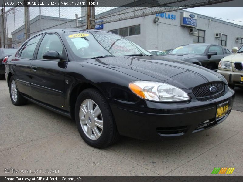 Black / Medium/Dark Pebble 2005 Ford Taurus SEL