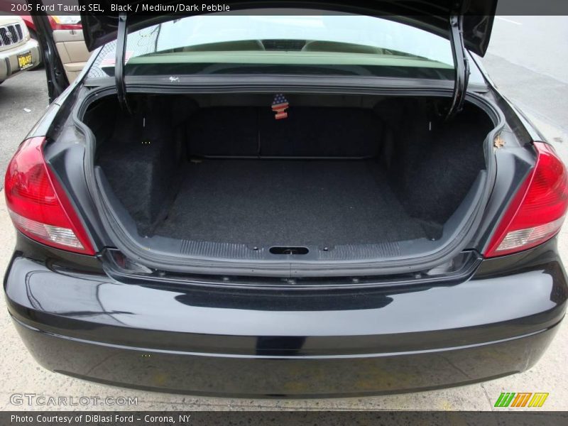 Black / Medium/Dark Pebble 2005 Ford Taurus SEL