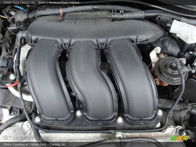 Black / Medium/Dark Pebble 2005 Ford Taurus SEL