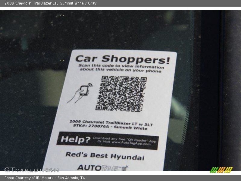 Summit White / Gray 2009 Chevrolet TrailBlazer LT