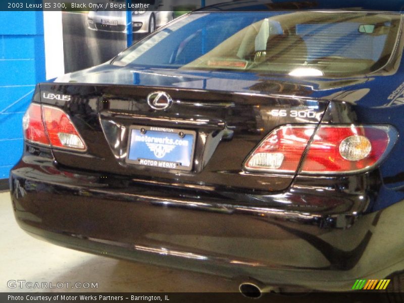 Black Onyx / Beige Leather 2003 Lexus ES 300