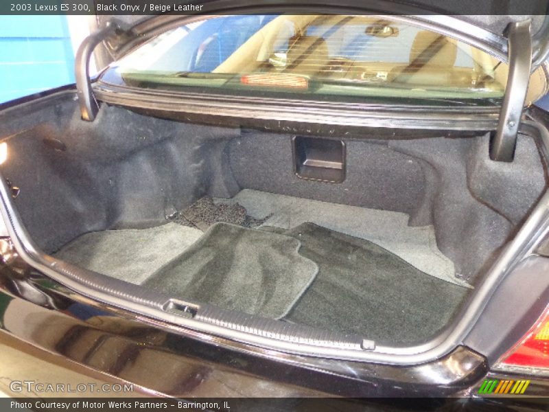 Black Onyx / Beige Leather 2003 Lexus ES 300