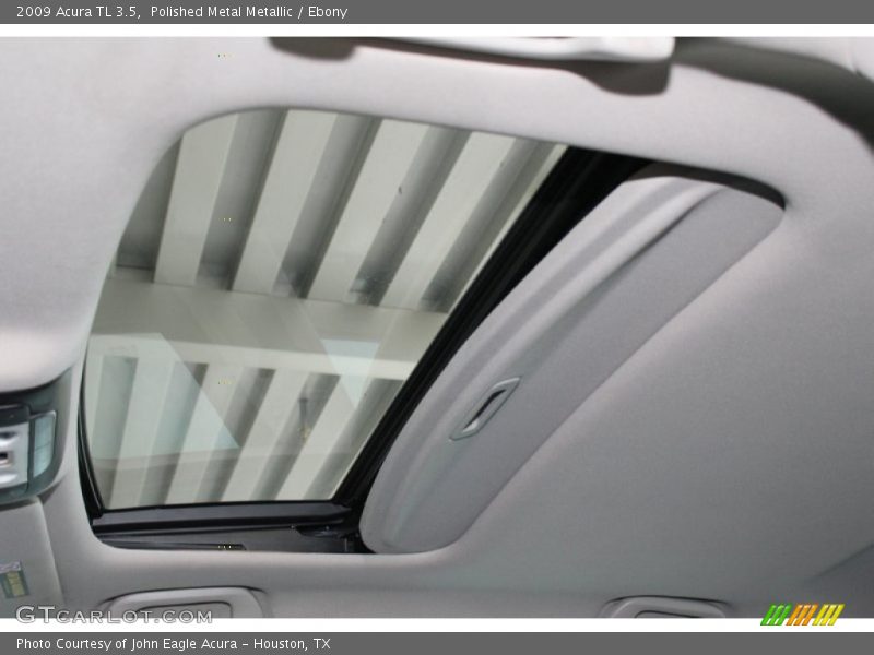 Polished Metal Metallic / Ebony 2009 Acura TL 3.5