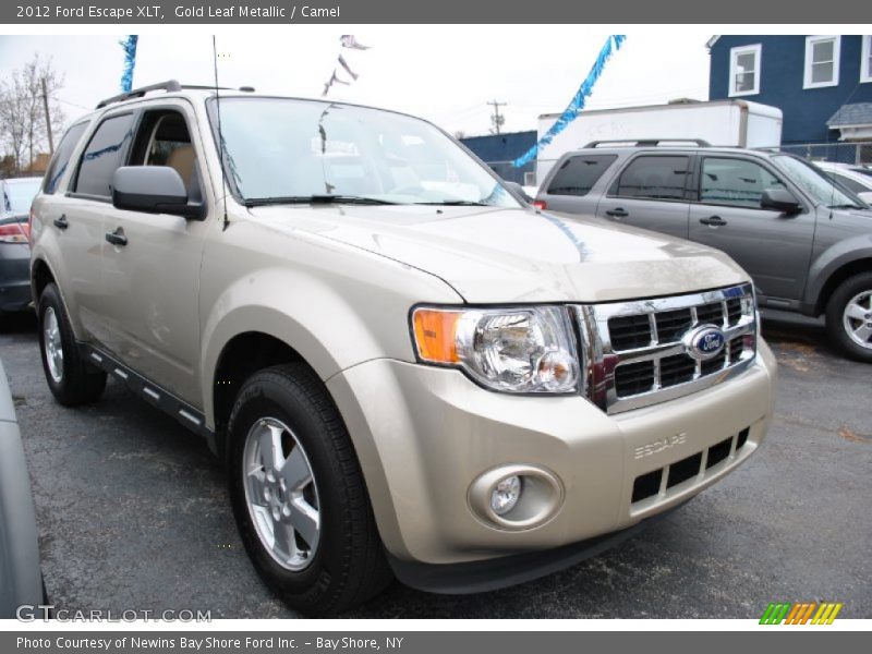 Gold Leaf Metallic / Camel 2012 Ford Escape XLT