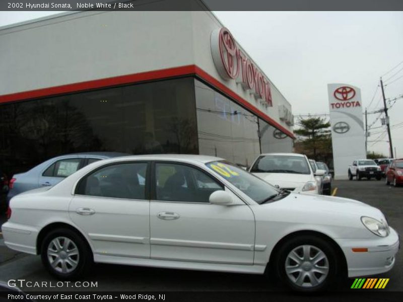 Noble White / Black 2002 Hyundai Sonata