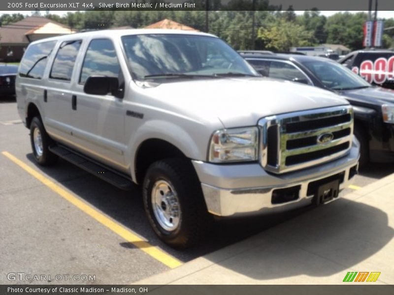 Silver Birch Metallic / Medium Flint 2005 Ford Excursion XLT 4x4