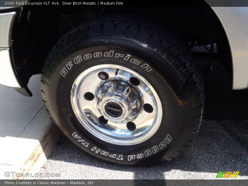 Silver Birch Metallic / Medium Flint 2005 Ford Excursion XLT 4x4