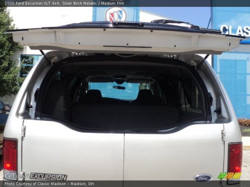 Silver Birch Metallic / Medium Flint 2005 Ford Excursion XLT 4x4