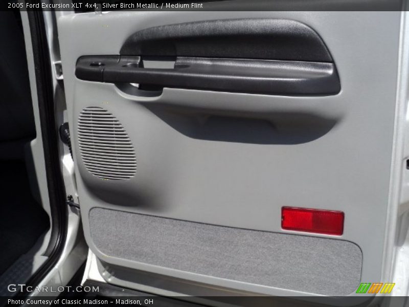 Silver Birch Metallic / Medium Flint 2005 Ford Excursion XLT 4x4