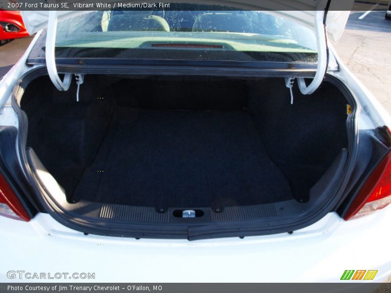 Vibrant White / Medium/Dark Flint 2007 Ford Taurus SE