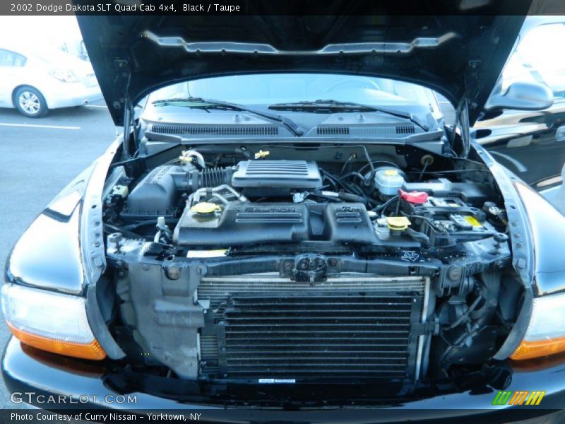 Black / Taupe 2002 Dodge Dakota SLT Quad Cab 4x4