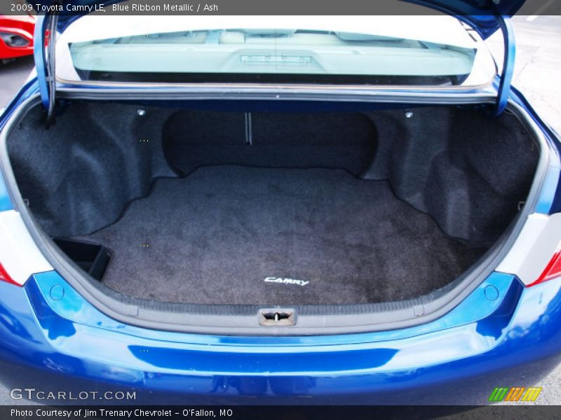 Blue Ribbon Metallic / Ash 2009 Toyota Camry LE