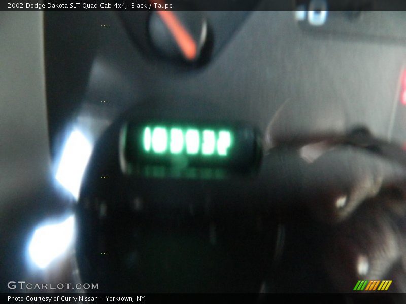 Black / Taupe 2002 Dodge Dakota SLT Quad Cab 4x4