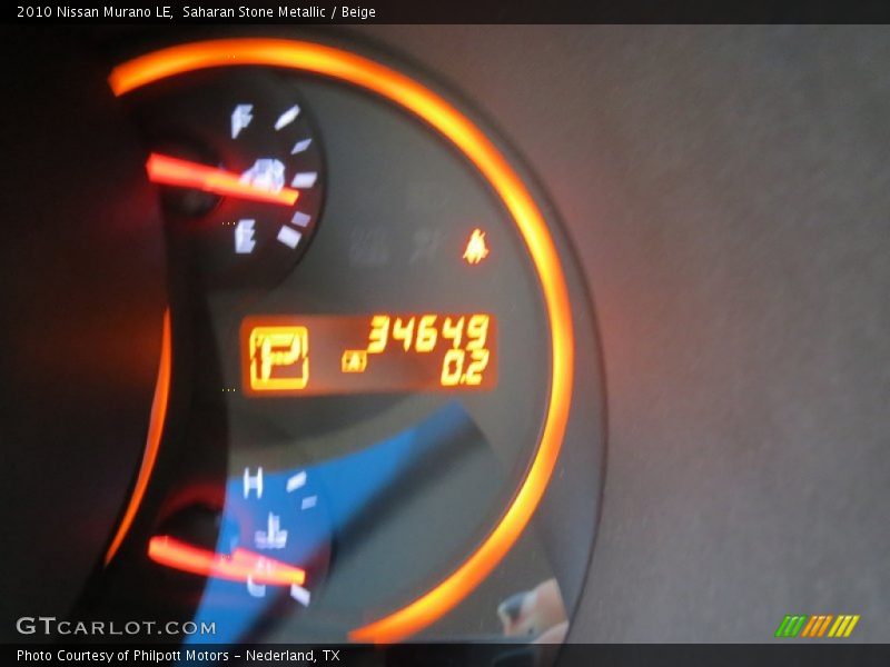 Saharan Stone Metallic / Beige 2010 Nissan Murano LE
