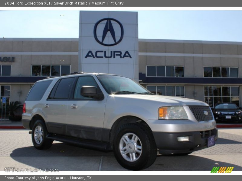 Silver Birch Metallic / Medium Flint Gray 2004 Ford Expedition XLT