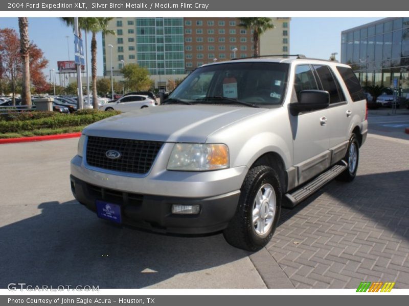 Silver Birch Metallic / Medium Flint Gray 2004 Ford Expedition XLT
