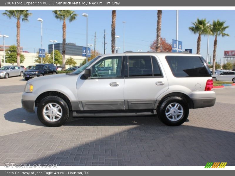 Silver Birch Metallic / Medium Flint Gray 2004 Ford Expedition XLT