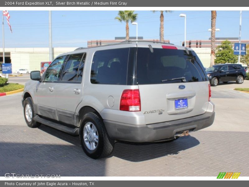 Silver Birch Metallic / Medium Flint Gray 2004 Ford Expedition XLT