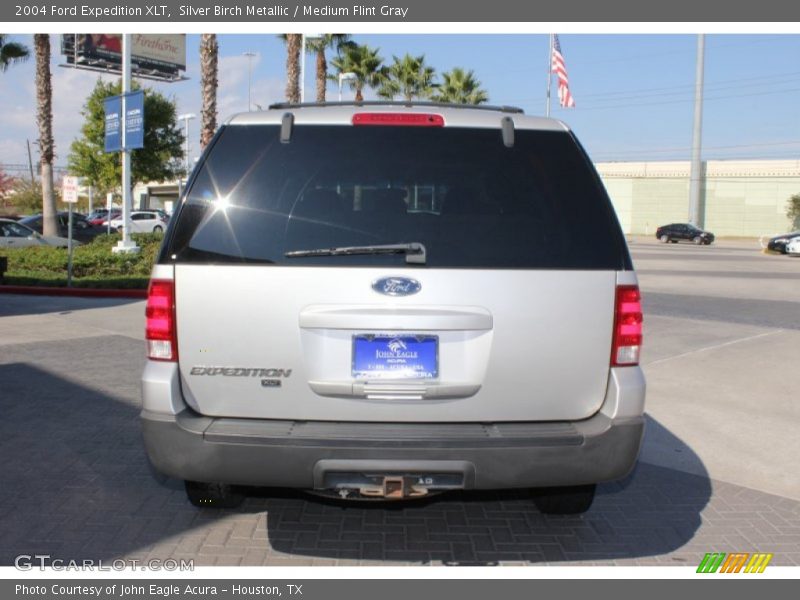 Silver Birch Metallic / Medium Flint Gray 2004 Ford Expedition XLT