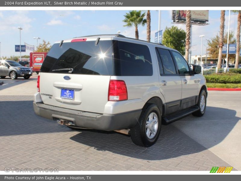 Silver Birch Metallic / Medium Flint Gray 2004 Ford Expedition XLT