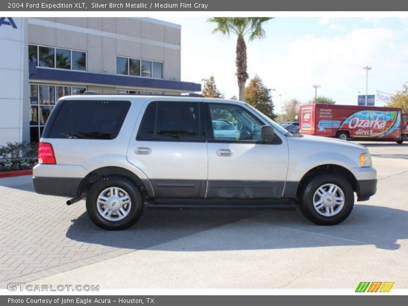 Silver Birch Metallic / Medium Flint Gray 2004 Ford Expedition XLT
