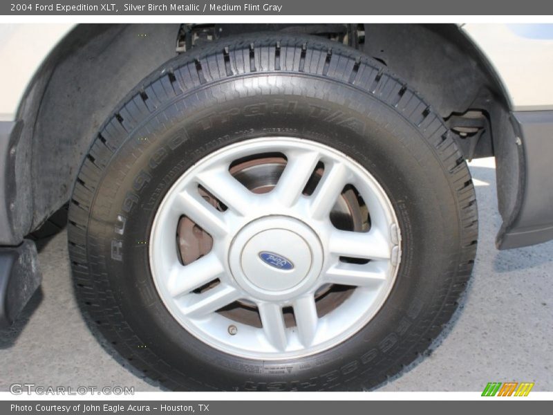 Silver Birch Metallic / Medium Flint Gray 2004 Ford Expedition XLT