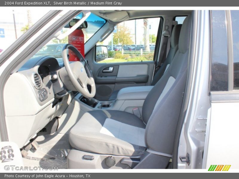 Silver Birch Metallic / Medium Flint Gray 2004 Ford Expedition XLT