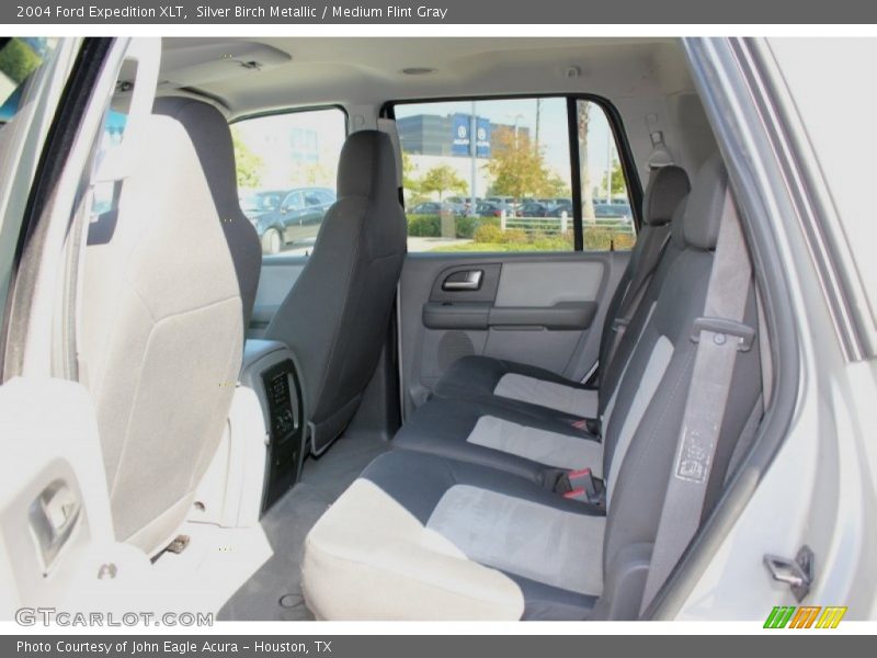 Silver Birch Metallic / Medium Flint Gray 2004 Ford Expedition XLT