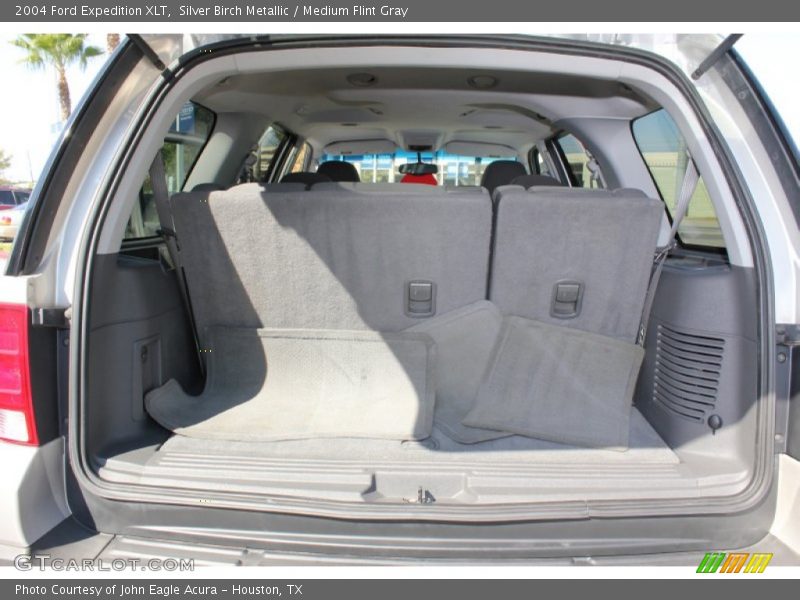 Silver Birch Metallic / Medium Flint Gray 2004 Ford Expedition XLT