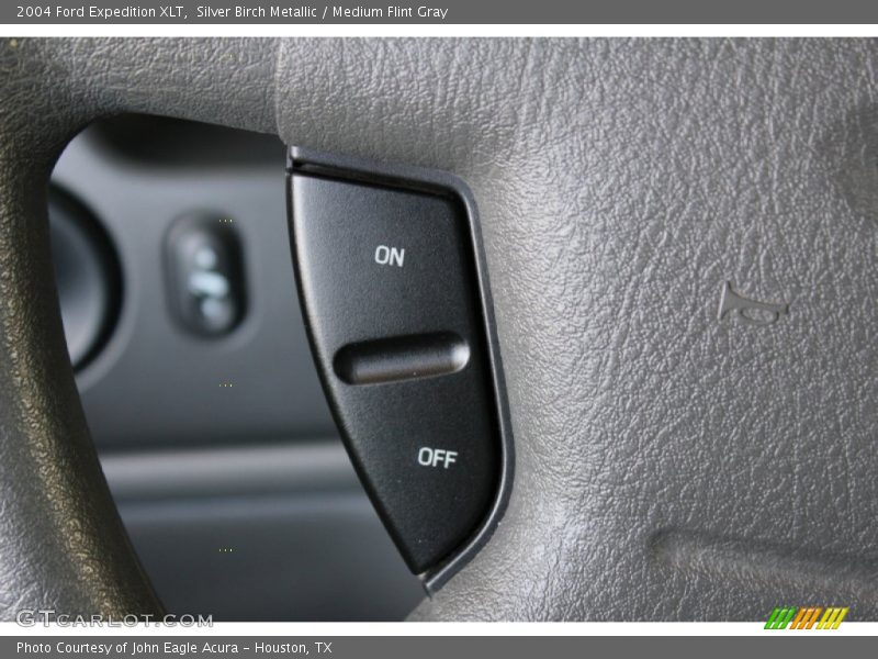 Silver Birch Metallic / Medium Flint Gray 2004 Ford Expedition XLT