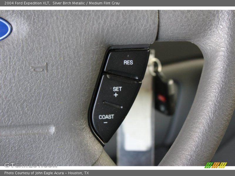 Silver Birch Metallic / Medium Flint Gray 2004 Ford Expedition XLT