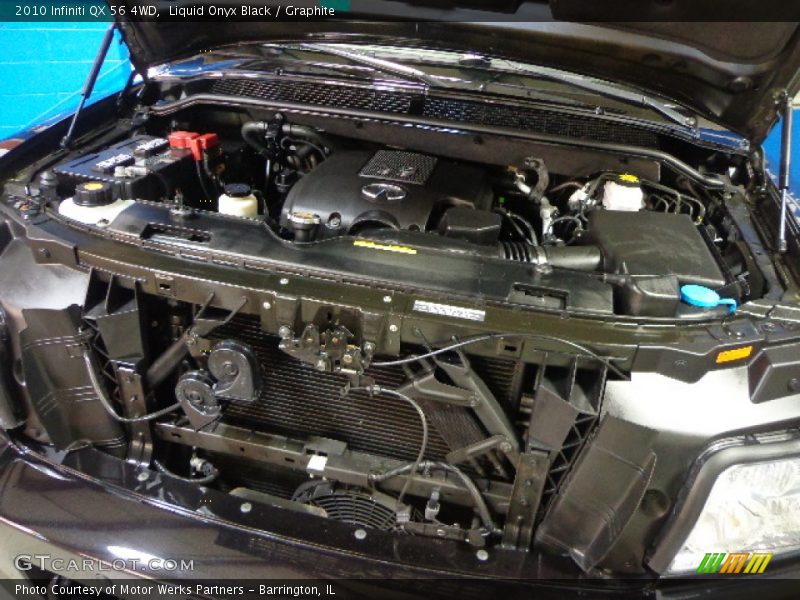 Liquid Onyx Black / Graphite 2010 Infiniti QX 56 4WD
