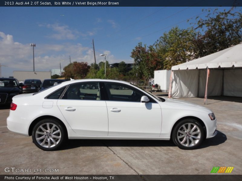 Ibis White / Velvet Beige/Moor Brown 2013 Audi A4 2.0T Sedan