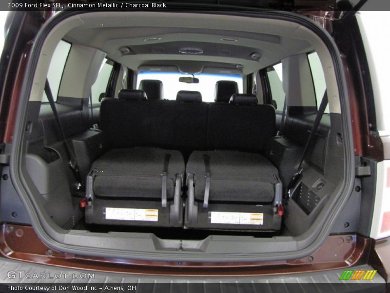 Cinnamon Metallic / Charcoal Black 2009 Ford Flex SEL