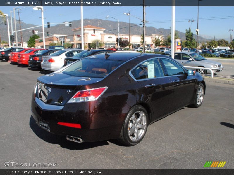 Mayan Bronze Metallic / Umber/Ebony 2009 Acura TL 3.7 SH-AWD