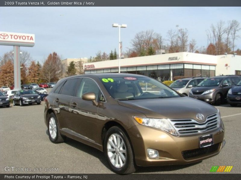 Golden Umber Mica / Ivory 2009 Toyota Venza I4