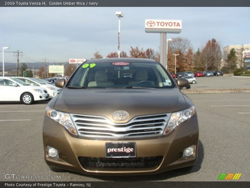 Golden Umber Mica / Ivory 2009 Toyota Venza I4