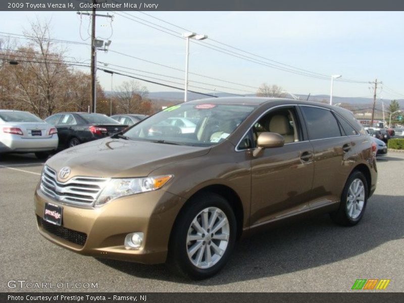 Golden Umber Mica / Ivory 2009 Toyota Venza I4