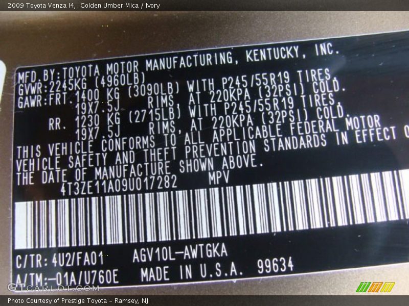 Golden Umber Mica / Ivory 2009 Toyota Venza I4