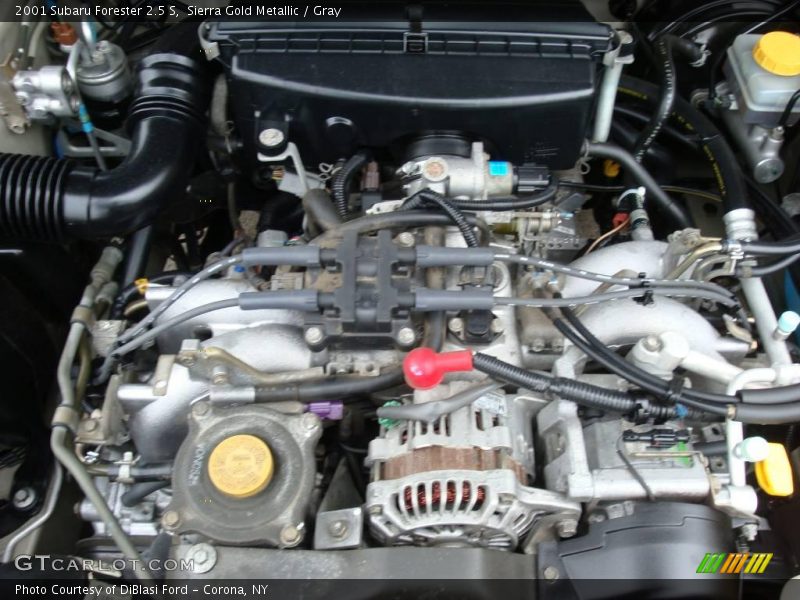 Sierra Gold Metallic / Gray 2001 Subaru Forester 2.5 S