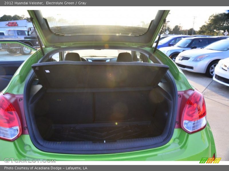 Electrolyte Green / Gray 2012 Hyundai Veloster
