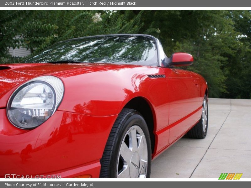 Torch Red / Midnight Black 2002 Ford Thunderbird Premium Roadster