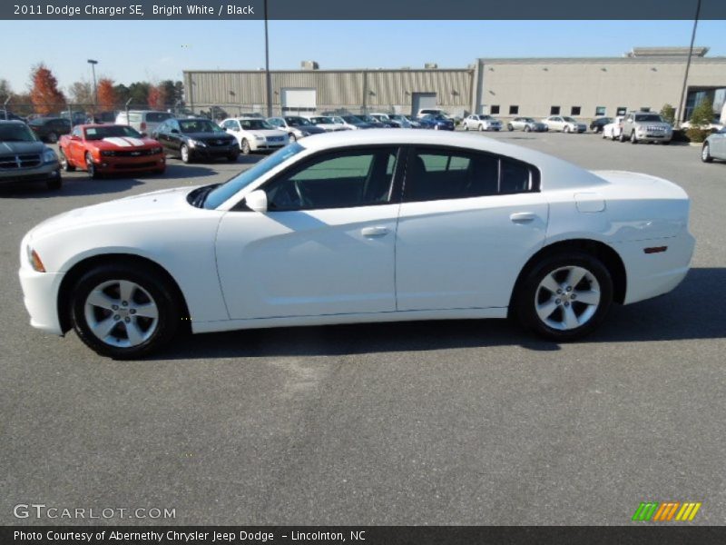 Bright White / Black 2011 Dodge Charger SE