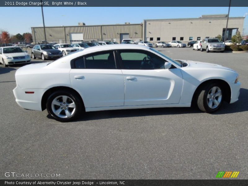 Bright White / Black 2011 Dodge Charger SE