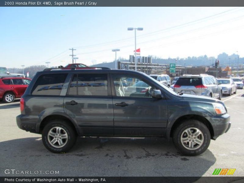 Sage Brush Pearl / Gray 2003 Honda Pilot EX 4WD