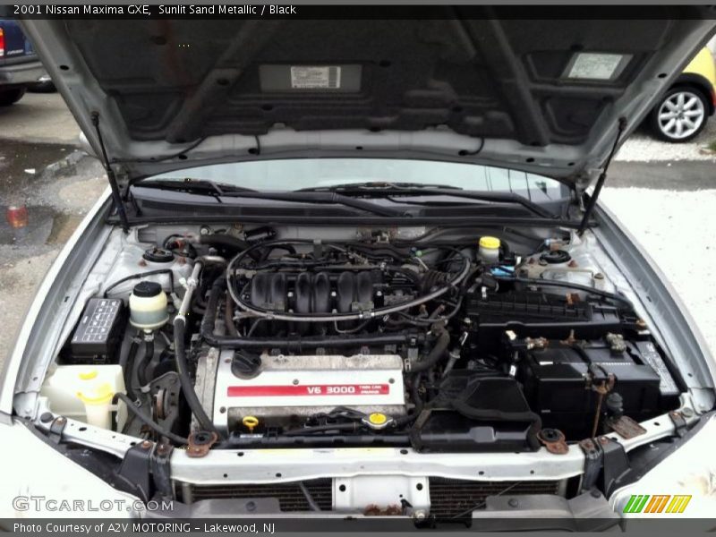 Sunlit Sand Metallic / Black 2001 Nissan Maxima GXE