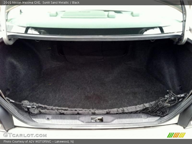 Sunlit Sand Metallic / Black 2001 Nissan Maxima GXE