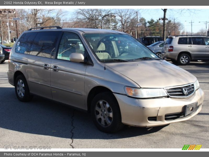 Mesa Beige Metallic / Ivory 2002 Honda Odyssey EX